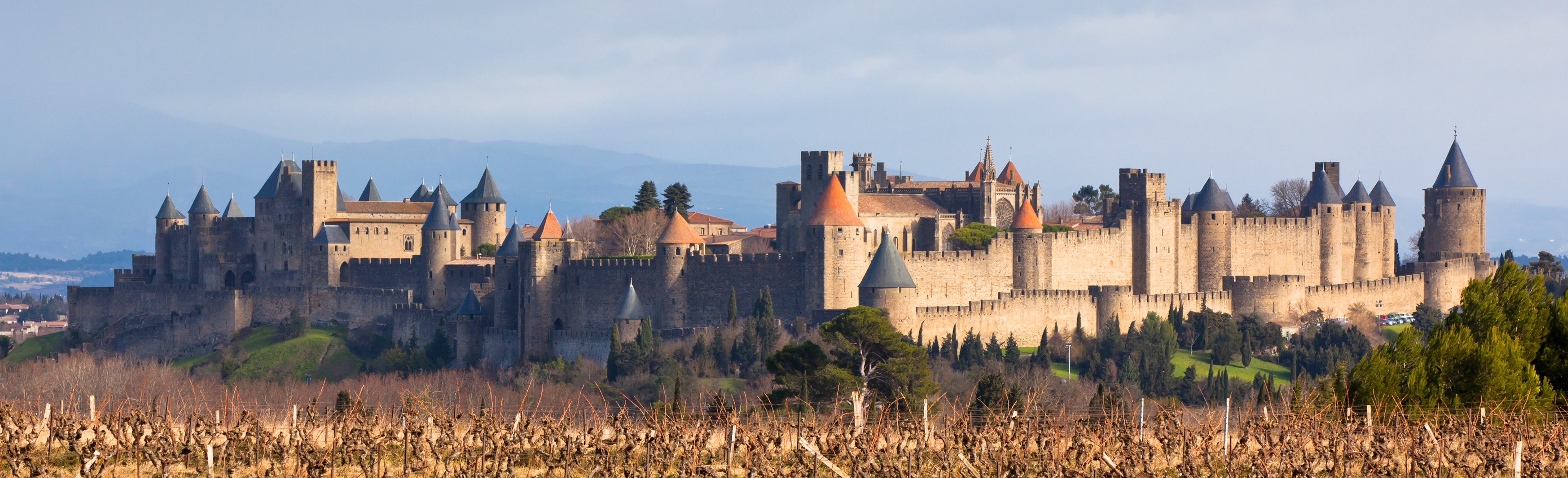 Group of professionals during a corporate cohesion seminar in a historic French city