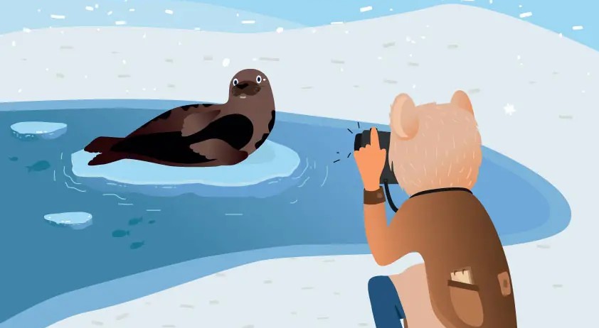 La surprise du Pôle Nord