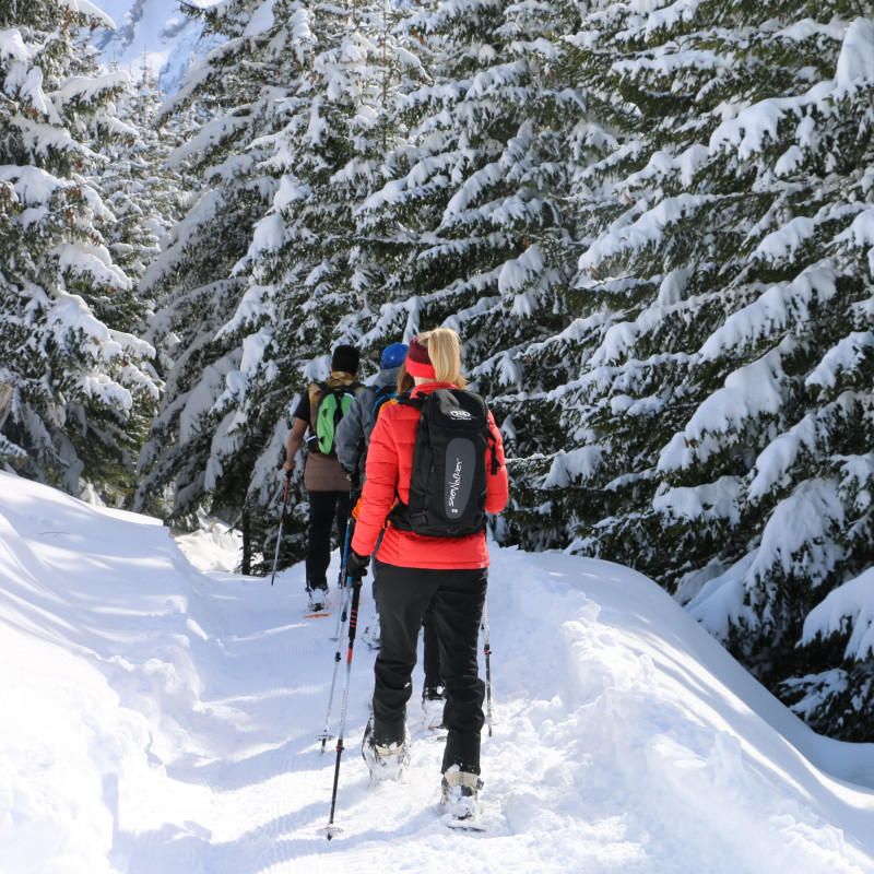 Balade en raquettes dans les Pyrénées